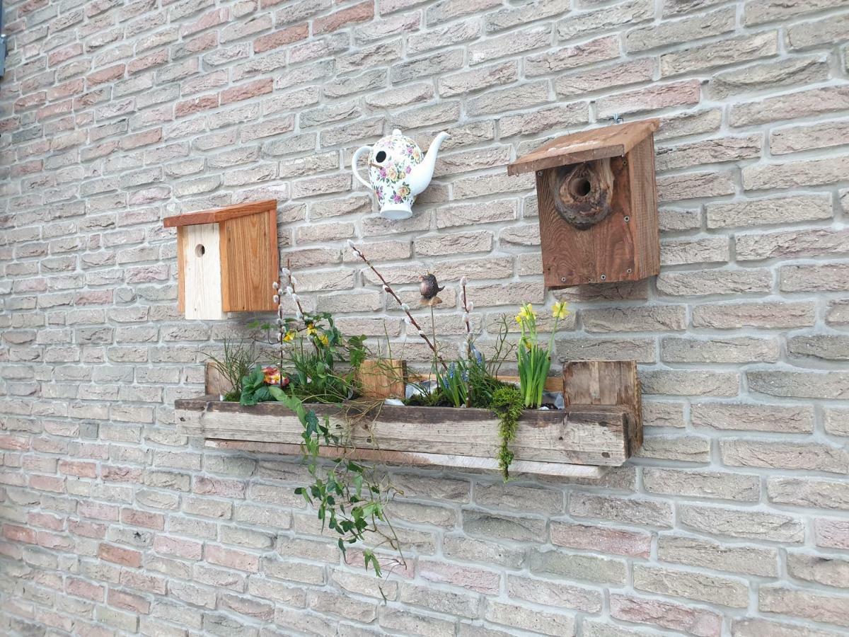 Ferienwohnung Vogelvilla Altenbeken Luaran gambar